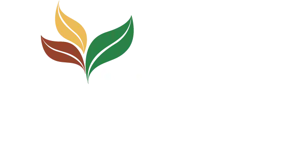 Roots Logo Light